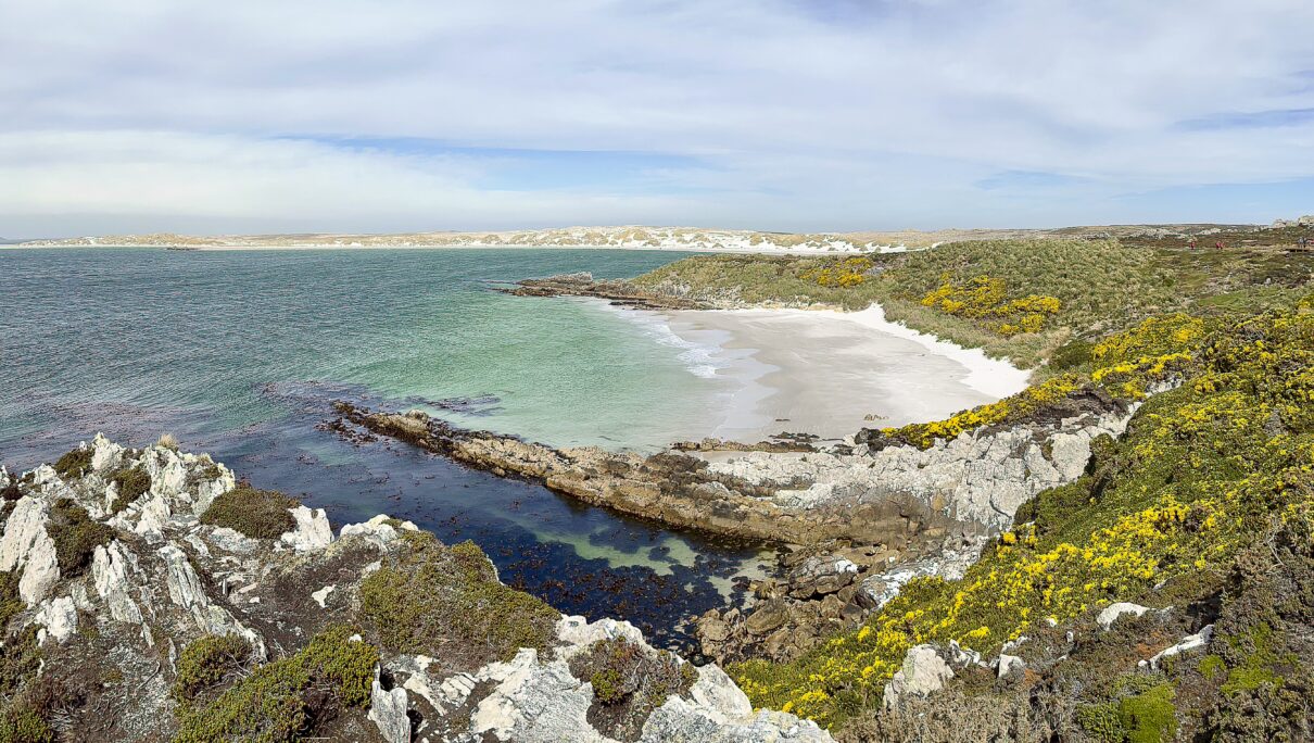 Falkland Islands
