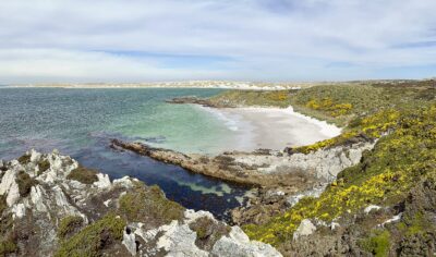 Falkland Islands